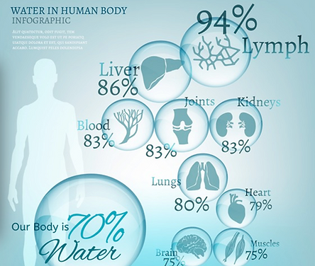 water is the essence of life