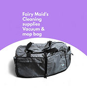 cleaning service (4)_1736118778382.jpg