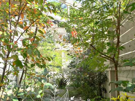 12月7日　木曜日