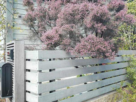 エリカが冬の味方