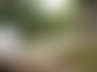 10月11日　水曜日