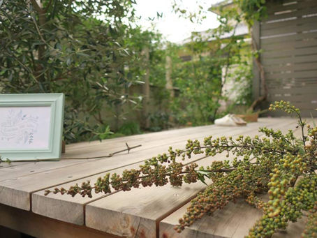 10月11日　水曜日