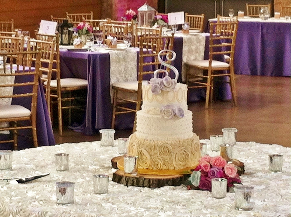 Weddings at The Butterfield Pavilion, Valparaiso, Indiana