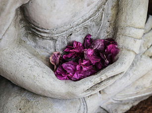 Brahma Viharas