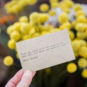 What is Life Coaching? A guide to working with an experienced Life Coach.