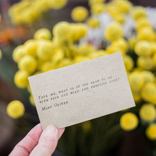 What is Life Coaching? A guide to working with an experienced Life Coach.