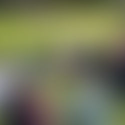 Creativity Coaching & Reclaiming Your Authentic Voice, and Calling