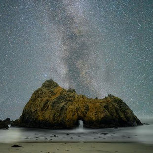 Nature's Enchantment through a Jungian Counselling Lens: Unveiling the Soul of the Wild