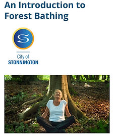 Forest Bathing Stonnington Council
