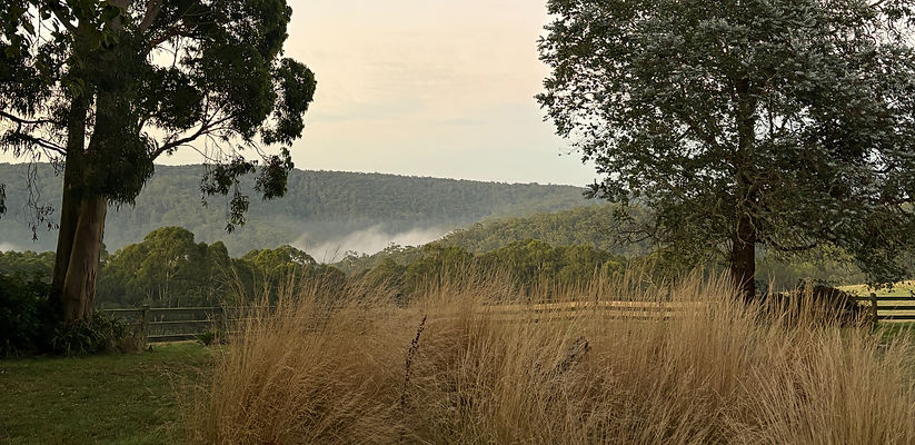 Soul Notes Farm Blog