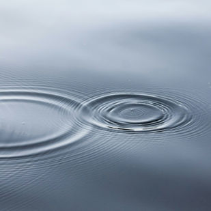 The Neuroscience of Awakening: Bridging Buddhism and Science with Mindfulness Meditation