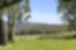 Wilderness Retreat