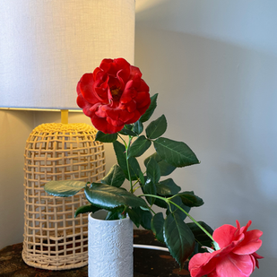 Awareness in an Age of Entertainment & Restlessness