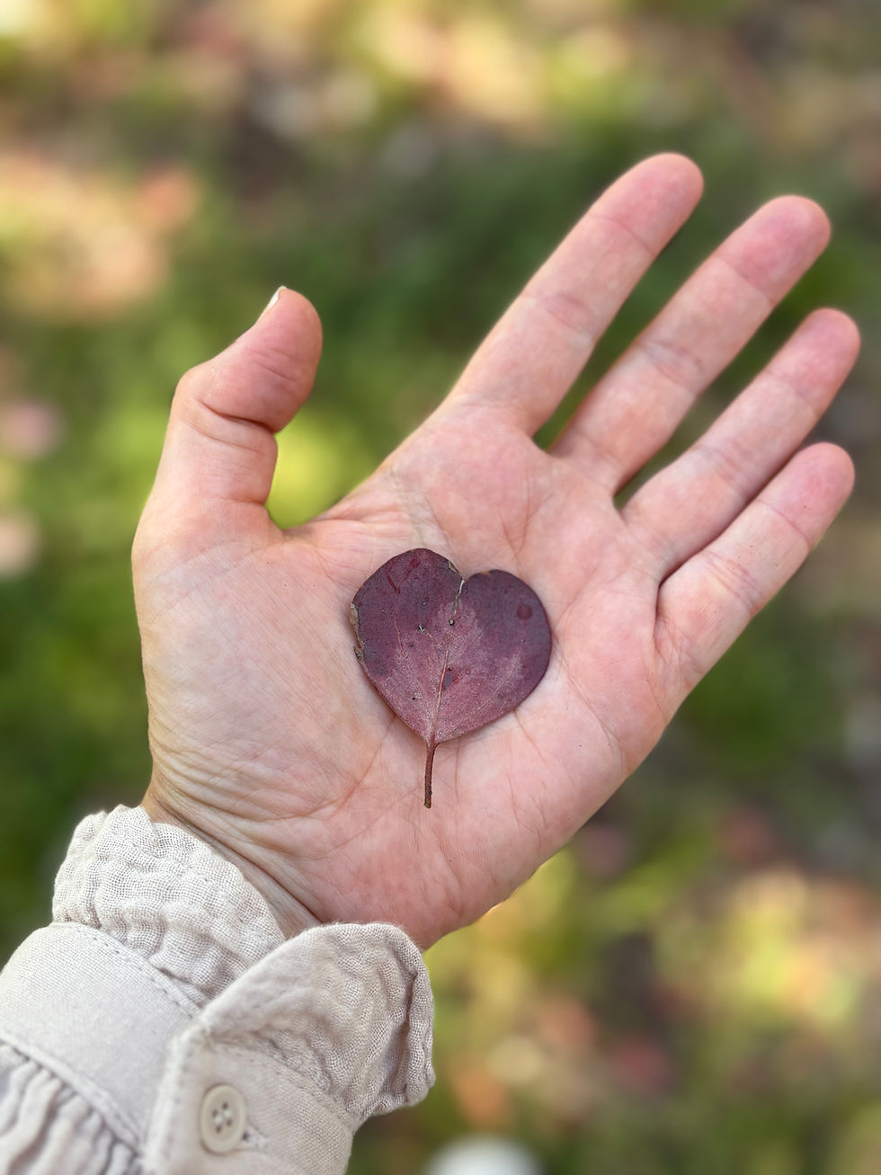 Universal Compassion