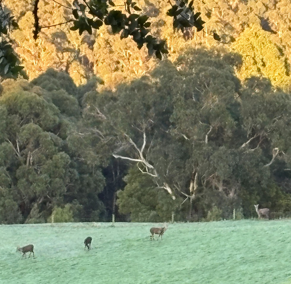 Whole Landscape