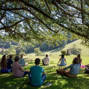 Cultivating Stillness: A Guide to Insight Meditation and Mindfulness Meditation Australia