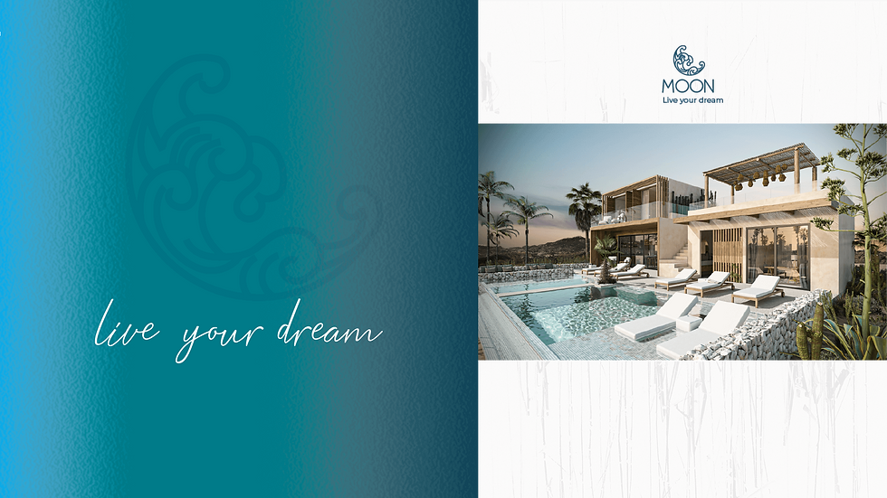 Moon Real Estate Identity Design Brs Studio