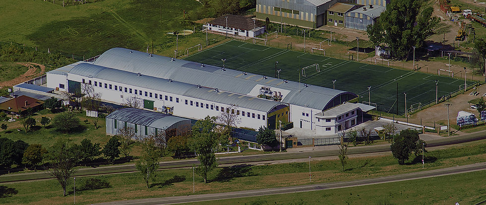 Templados centro.jpg