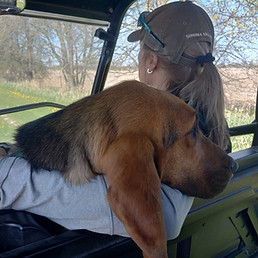 Linda and her tracking bloodhound Shelby