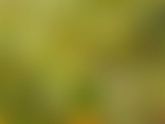 かけだし情報1210