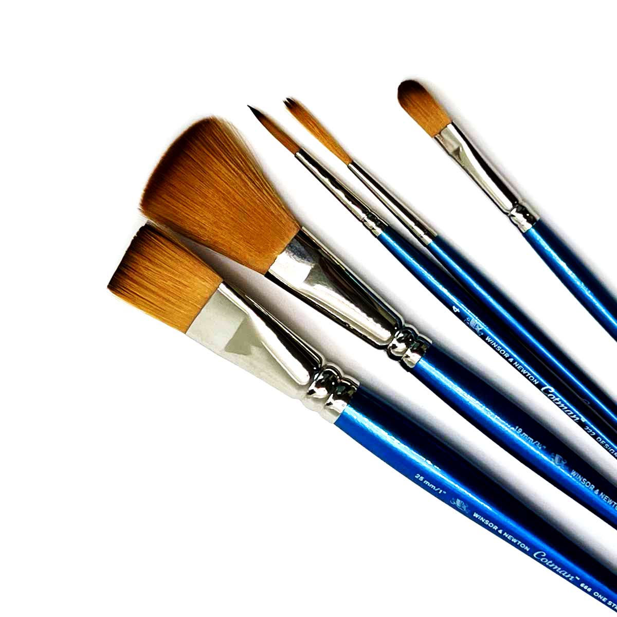 Winsor & Newton Cotman Brush