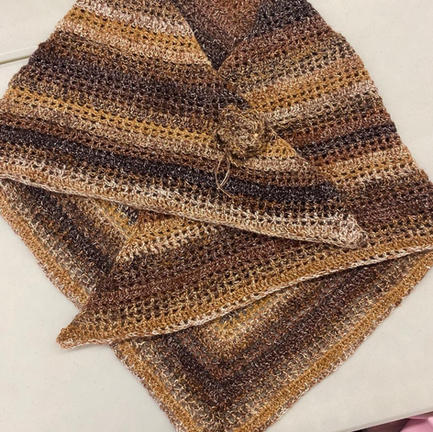 Brown Shawl.jpg