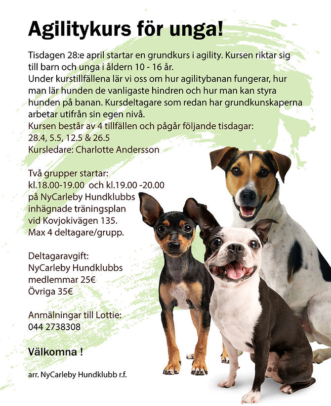 agility-för-unga.jpg
