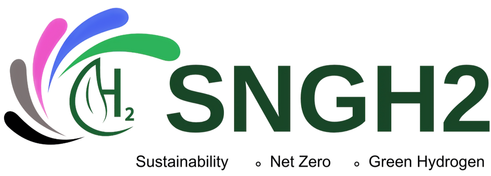 SNGH2