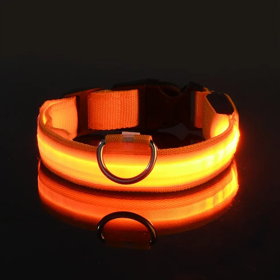Thumbnail: Bright LED Dog Collar – Safe Night Walking