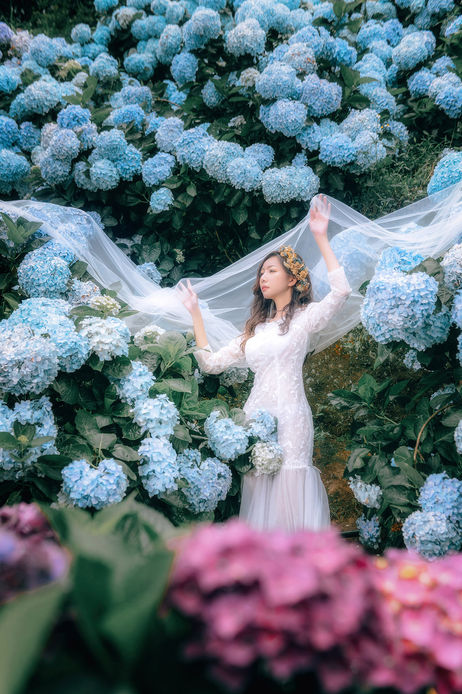 sunny--28_52962599039_o