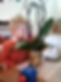 DSCF0525.JPG