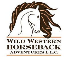 Welcome Wild Western