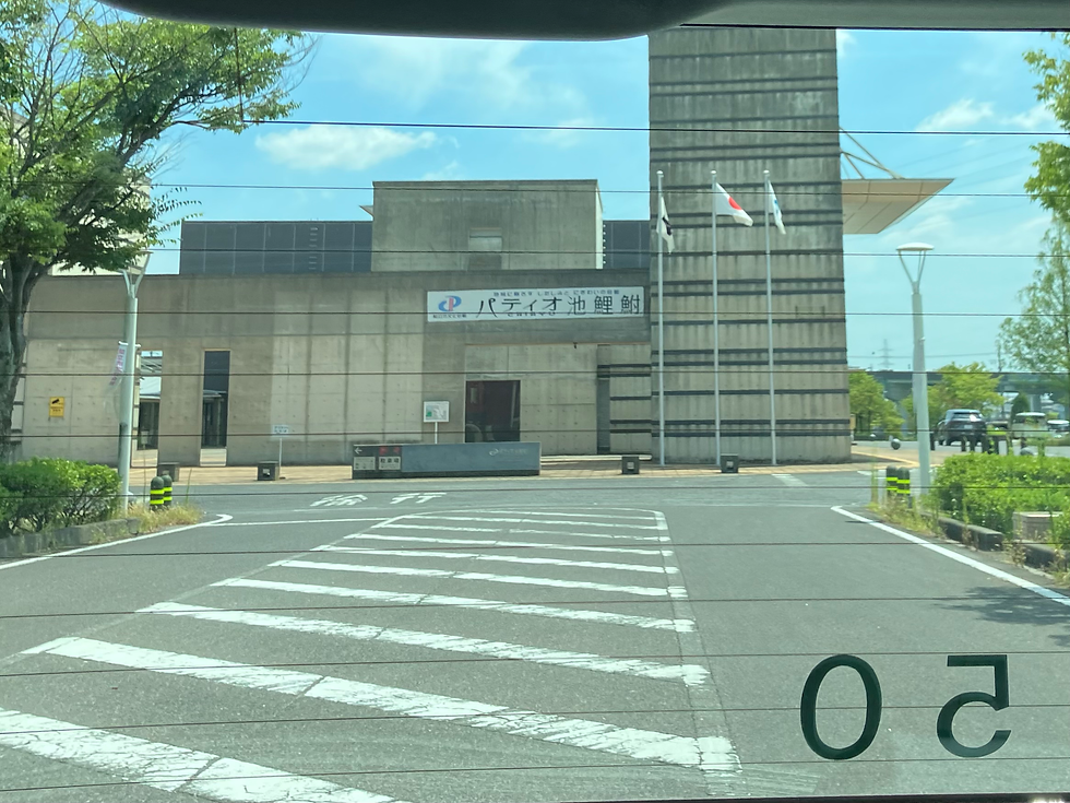 パティオ池鯉鮒(タクシーから撮影。わかりづらい)