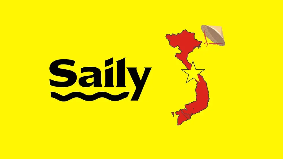 Das Saily-eSIM-Logo neben einer illustrierten Karte von Vietnam mit einem traditionellen Kegelhut