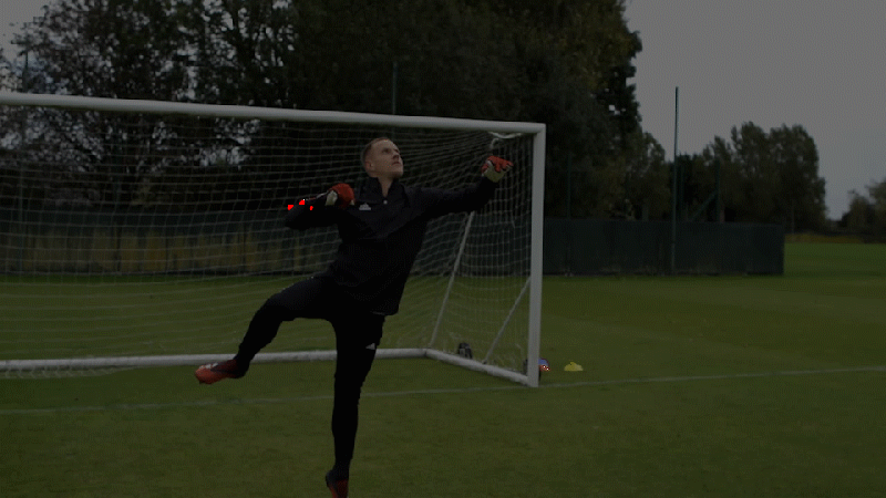 terstegen_animation_B_black