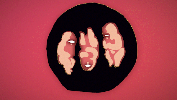 ciclope_F.gif