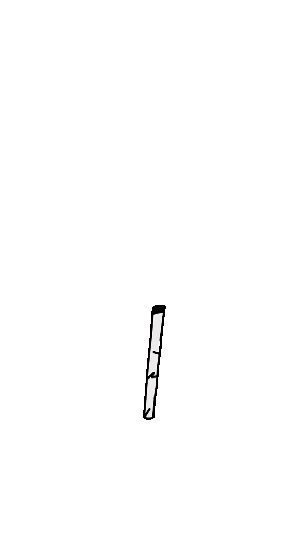 noord_confidence