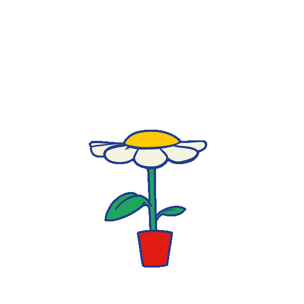noord_flower_v006