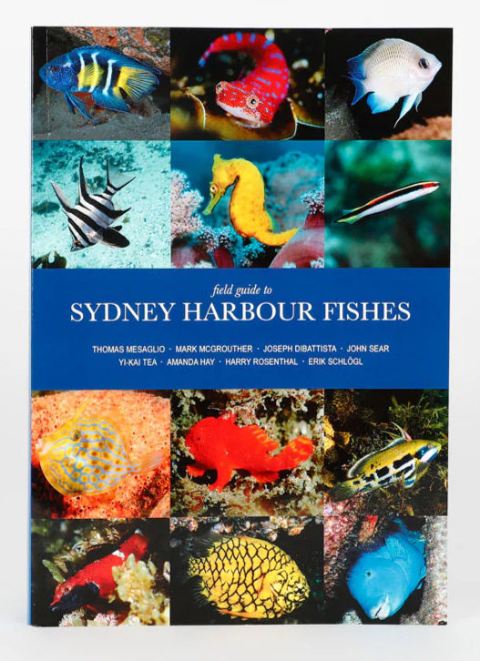 Buy your copy here
