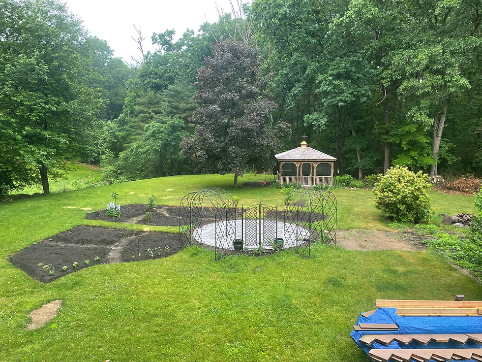 BEFORE THE GARDEN...