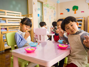 Packing Lunches, Not Battles: A VKT Feeding Therapist's Guide to Picky Eaters