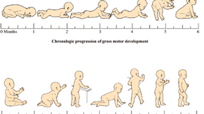 Fun and Engaging Activities to Promote Gross Motor Skills in Infants