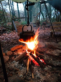 IMG20221210153411.jpg