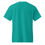 Thumbnail: DryBlend® T-Shirt