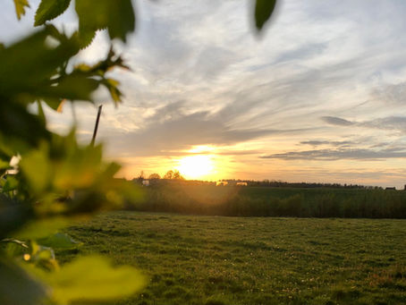 Contacts cet été dans la paroisse