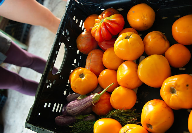 PRODUCE