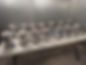 freeze thaw experiment.jpg