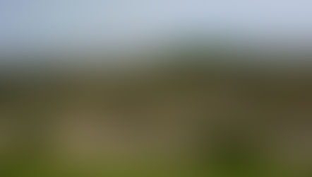 Aidone tra i romanzi del Premio Letterario il Borgo Italiano