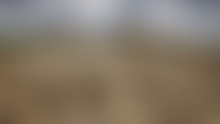 San Cesareo tra i racconti del Premio Letterario il Borgo Italiano