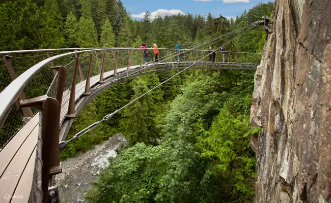 sus bridge.webp